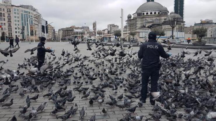Taksim'de aç kalan güvercinleri polisler besledi