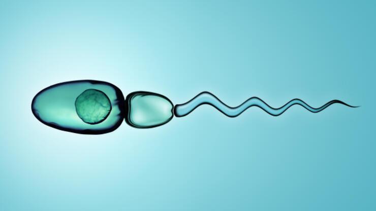 Sağlıklı sperm seçimi nasıl olmalı?