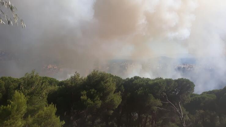 Maltepe'de ormanlık alanda yine yangın çıktı