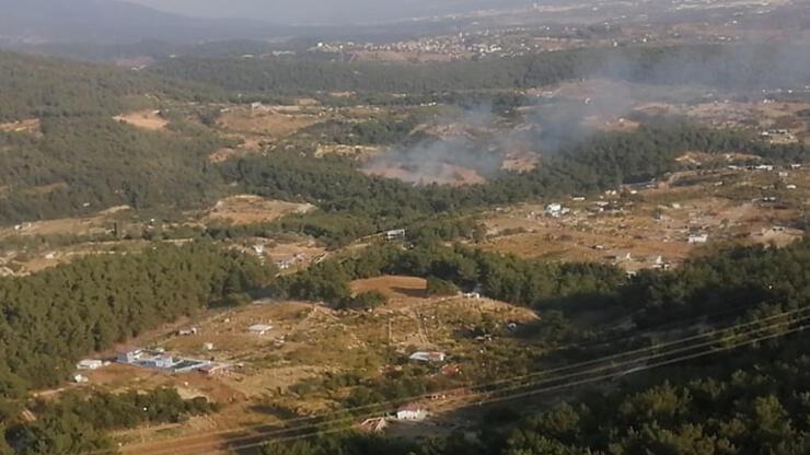 Son dakika haberi: İzmir'de ormanlık alanda yangın çıktı