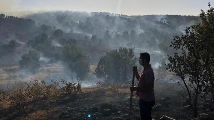 Elazığ'da orman yangını: 30 dönüm alan zarar gördü