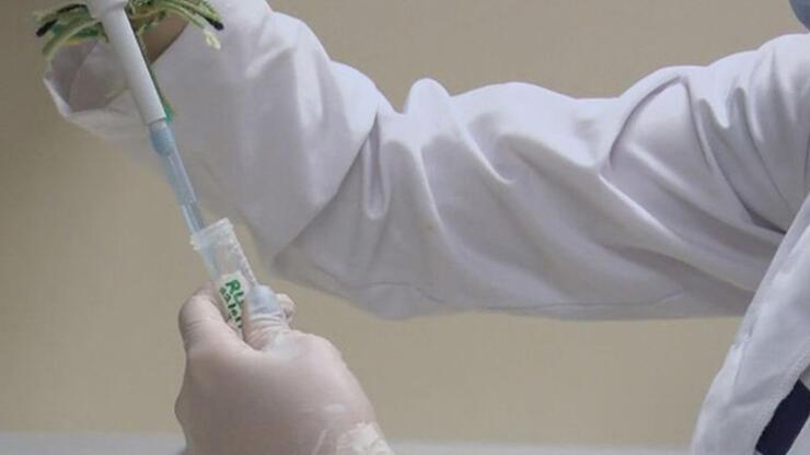 Koronavirüs aşısının ilk gönüllü uygulamasında ikinci doz yapıldı