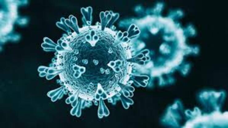 Mutasyona uğrayan virüs (Covid 20) ölümcül mü, özellikleri, etkileri neler? Virüsün mutasyona uğraması iyi bir şey mi?