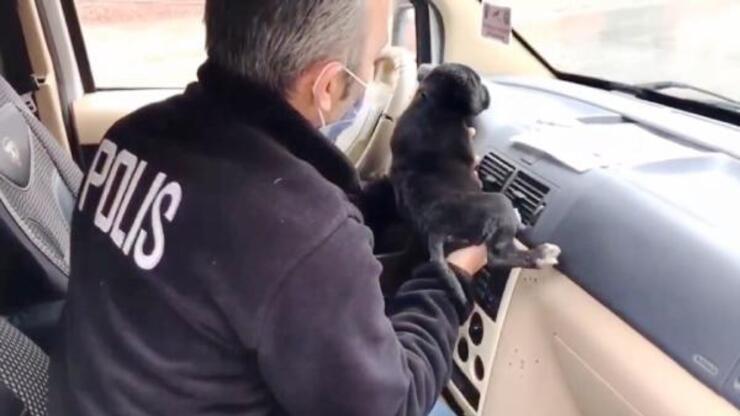 Polisler, üşüyen yavru köpeği ekip aracında ısıttı
