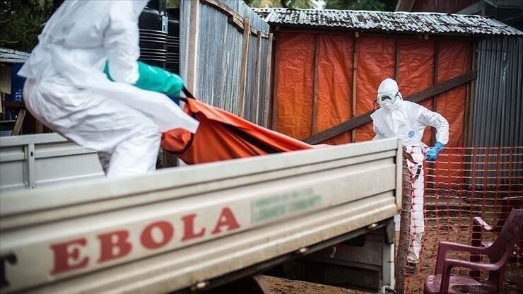 Gine'de ebola vakaları artıyor