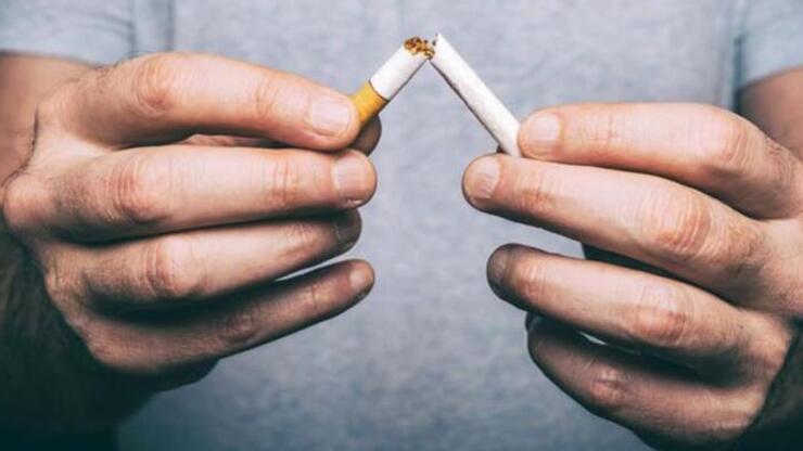 Sigara Ve Alkol Kullanmanın Zararları Nelerdir? Alkol Ve Sigara Neden İçilmemelidir?