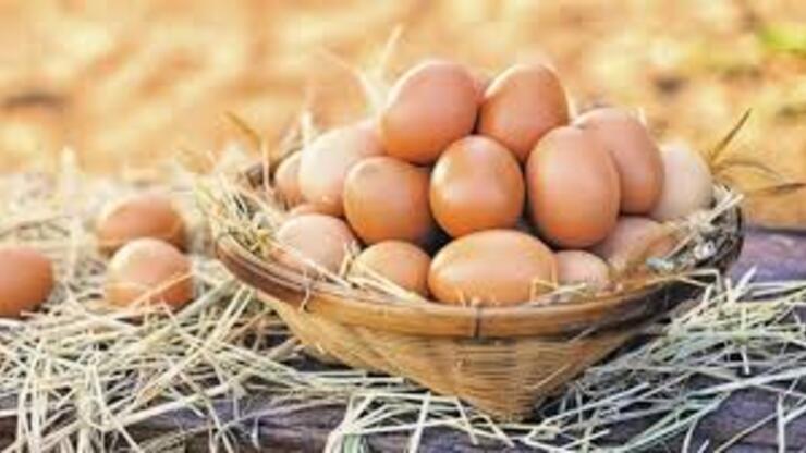 Yumurta Kaç Kalori, Yumurtanın Besin Değerleri Nelerdir? Haşlanmış Yumurta Kaç Kalori Olur?