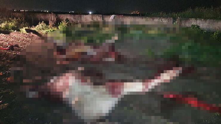 Adana'da kan donduran görüntü! Görür görmez polisi aradılar 