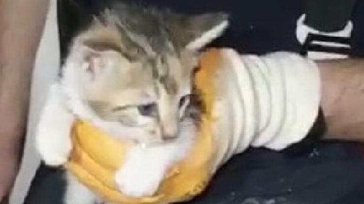 Yağmur suyu borusunda sıkışan yavru kediyi itfaiye kurtardı