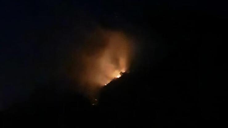 Manavgat'ta gece saatlerinde korkutan yangın 