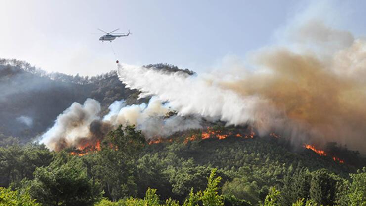 Antalya'da 3 günde, 22 yangında 80 dekar kül oldu