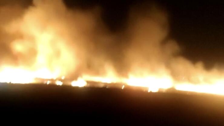 Diyarbakır'da bin 500 dönümlük arazide yangın 
