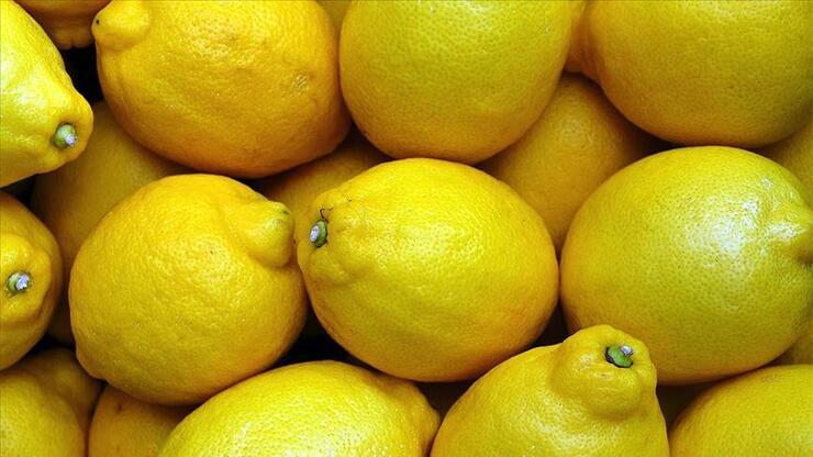 Mayısta en çok limonun fiyatı arttı