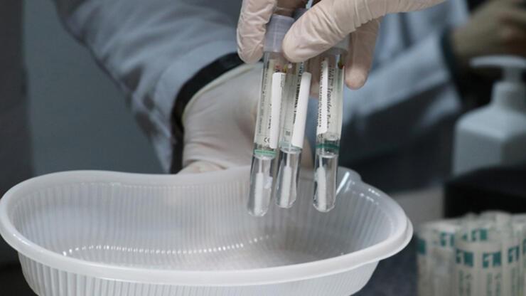 İsveç'te PCR testi skandalı! İnceleme başlatıldı