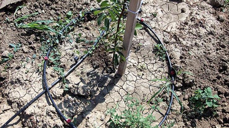 Bakan Pakdemirli: Tarımsal kuraklığa karşı en güçlü silah damla sulama 