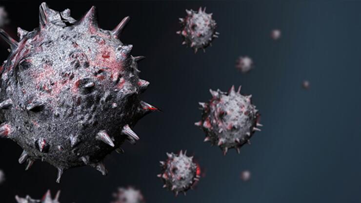 Çarpıcı araştırma: Koronavirüsün kökeni 20 bin yıl öncesine dayanıyor 