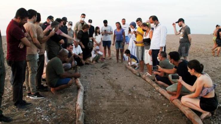 Manavgat sahilindeki ilk caretta caretta yavruları denize ulaştı