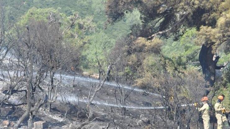 Çanakkale'de ormanlık alanda çıkan yangın kontrol altına alındı