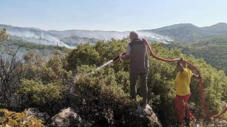299 orman yangınının tamamı kontrol altına alındı