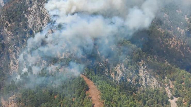 SON DAKİKA: Köyceğiz'de orman yangını