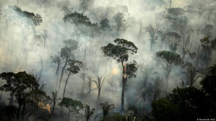 Brezilya ormanları kritik eşiğe geldi