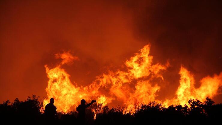 California'daki "Caldor" yangını 756 kilometrekare alanı tahrip etti