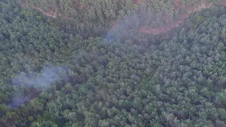 Manisa'da yıldırım düştü, orman yangını çıktı