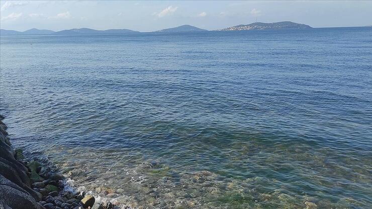 Marmara Denizi'nde oksijen azlığı tehlikesi artıyor