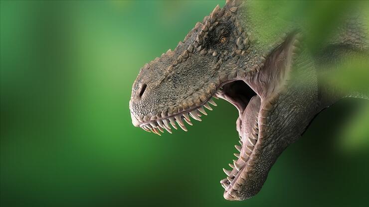 Brezilya'da dinozor kemiği bulundu