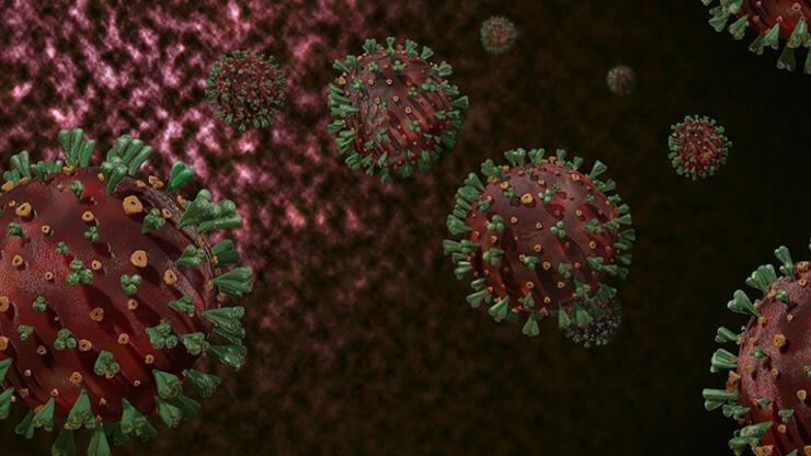 Çin'den dikkat çeken açıklama! Koronavirüs salgını sona yaklaşıyor