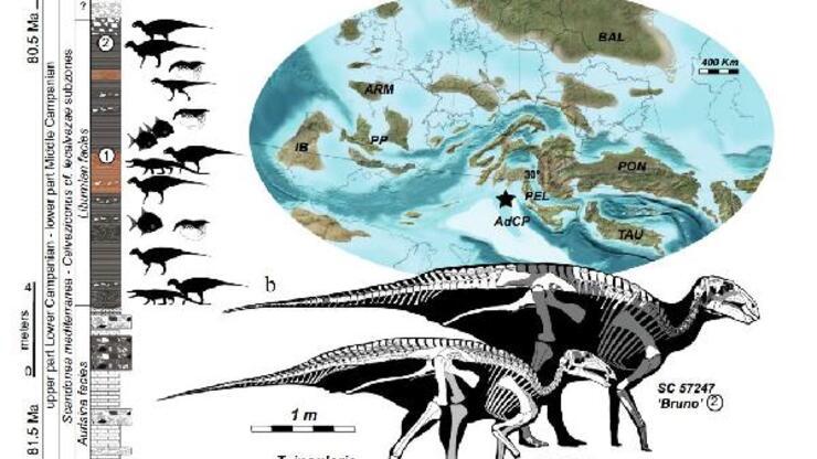İtalya’da dinozor sürüsü kalıntıları keşfedildi
