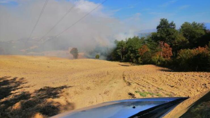 Osmaniye'de orman yangını 