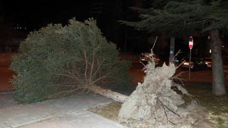 Kayseri'de şiddetli rüzgar etkili oldu