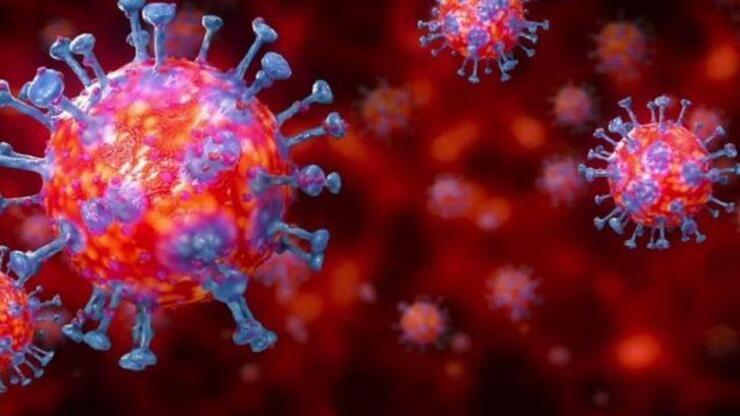 Uzmanlar açıkladı: Delmicron nedir? Omicron ve Delta virüsün birleşimi Delmicron var mı? 
