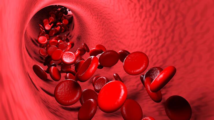 Kanın Görevleri Nelerdir? Kan Vücutta Ne İşe Yarar?