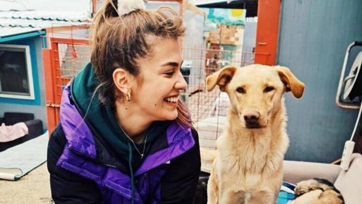Biran Damla Yılmaz bir barınağa giderek saatlerce köpekleri besledi