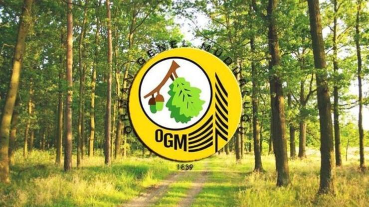 OGM personel alımı ne zaman, hangi gün? OGM yangın işçisi alımı şartları ve maaşları neler, kimler alınır? OGM personel alımı 2022 başvuruları!