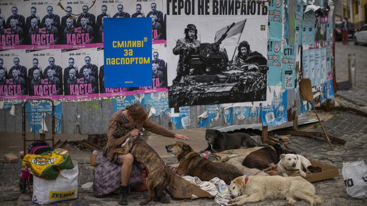 İrina da bir kahraman: Kiev'de sahipsiz kalan hayvanların gönüllü koruyucusu
