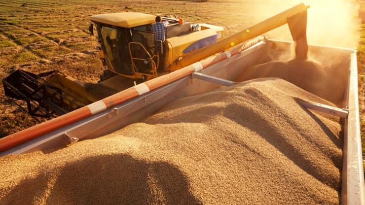 Ukrayna limanlarında 4,5 milyon ton tahıl mahsur 