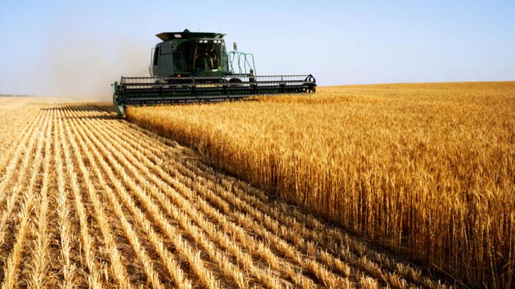 Ukrayna’dan gıda krizine karşı 2 ülkeye tahıl koridoru