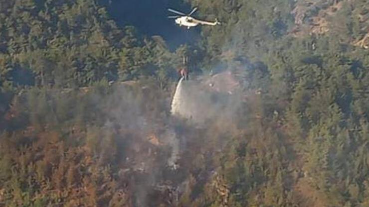 Bergama'daki orman yangını 1 saatte kontrol altında
