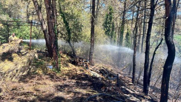 Beykoz'daki orman yangınıyla ilgili 1 gözaltı 