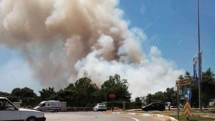 Antalya Kundu bölgesinde orman yangını
