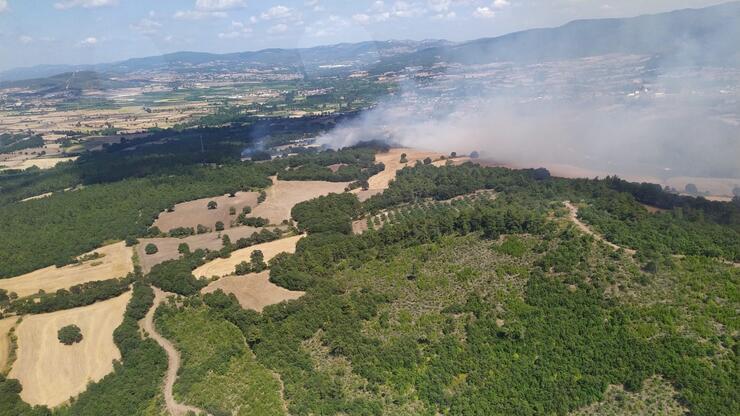 Çanakkale ve Tekirdağ'da orman yangını 