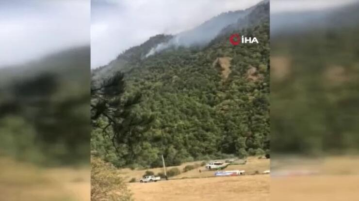 Gürcistan’daki orman yangını 3 gündür devam ediyor