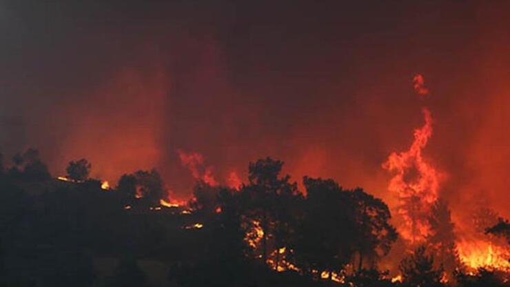 İsrail’de orman yangını: Çok sayıda kişi tahliye edildi