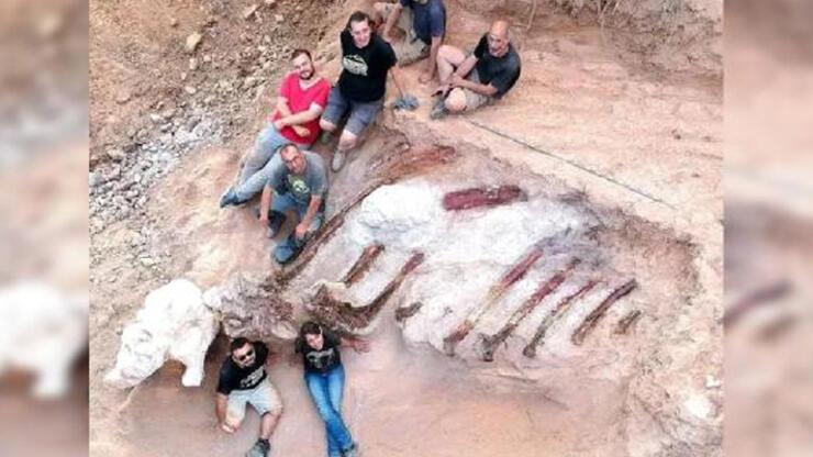 Portekiz'de bulundu! 145 milyon yıllık iskelet