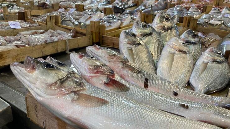 Balıkta sezon başladı, fiyatlar düştü: İşte pazarda son durum