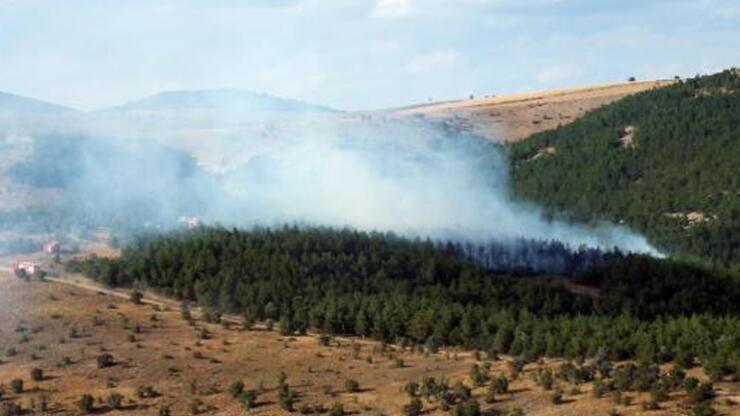Yozgat'ta çıkan orman yangını kontrol altına alındı