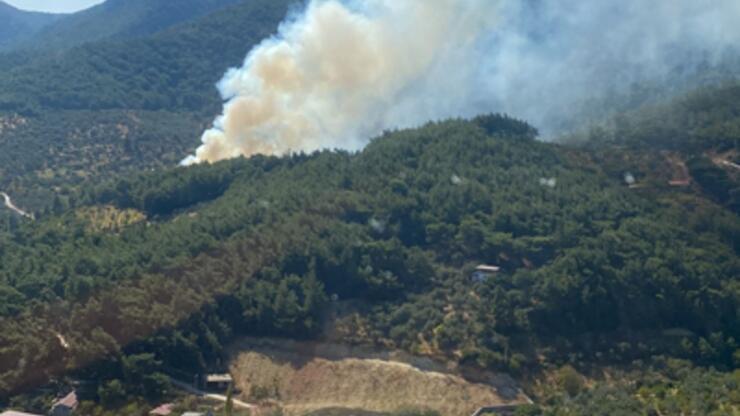 SON DAKİKA: İzmir'de orman yangını! Ekipler müdahaleye başladı